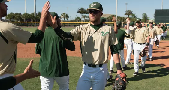 Bulls Take Series Opener at Memphis, 4-2