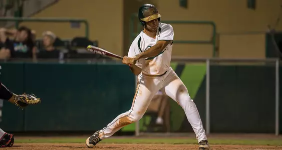 Offense Erupts as Bulls Stomp out Gators Tuesday