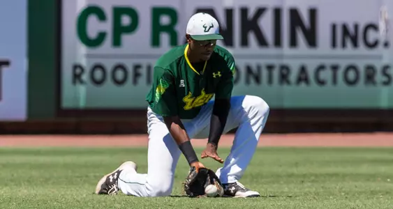 Bulls Fall in Elimination Game to Knights