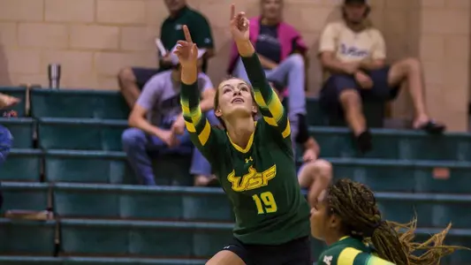 Alex Mendoza Green and Gold