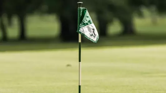Flag logo