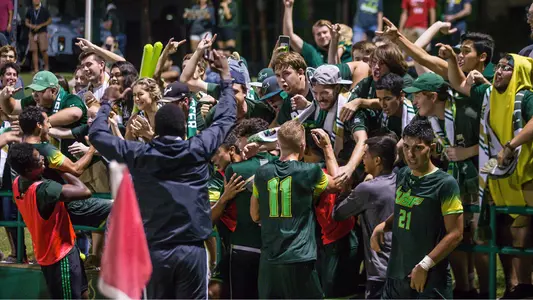 USF Celebrates