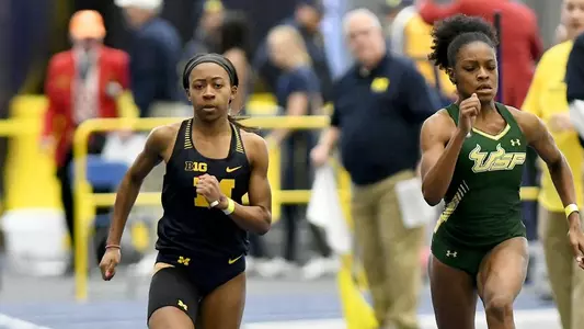 Wolverine Invitational