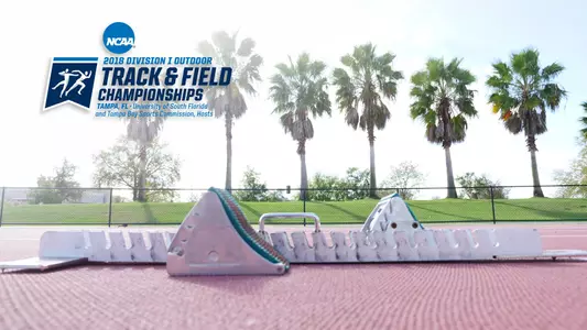 NCAA Track Web Main 1