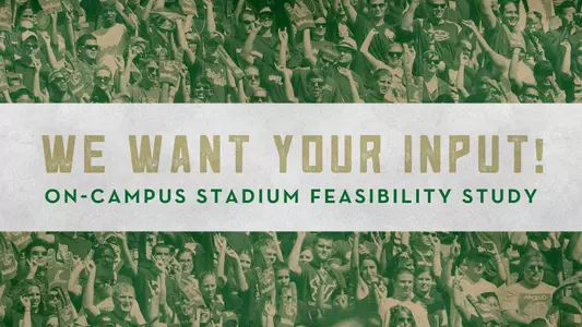 Stadium Feasibility Survey