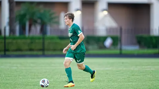 Henrique gallina