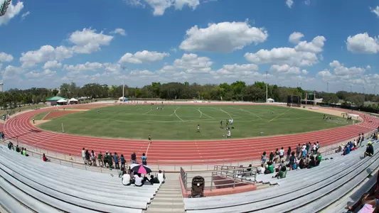 stadium