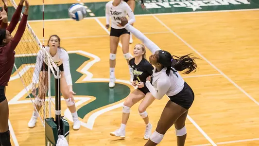 volleyball