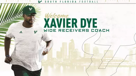 Dye Website Header