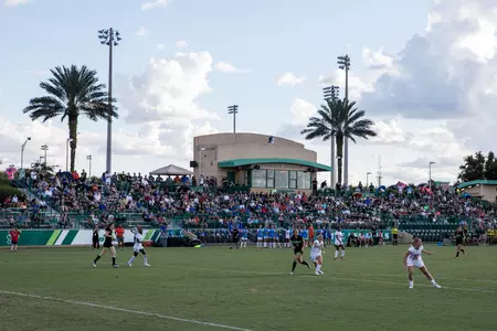 Bulls vs Florida