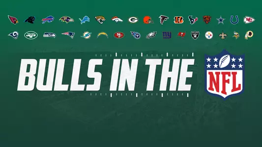 Bulls in the NFL 2019