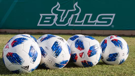 Soccer Balls