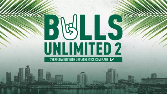 Bulls Unlimited 2 Website Header