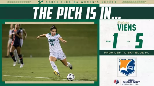 Draft Graphic
