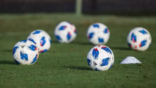 Soccer Balls