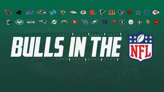 Bulls in the NFL 2020