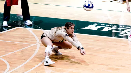 Alexis Williams gold dig 2021 VBvTUL