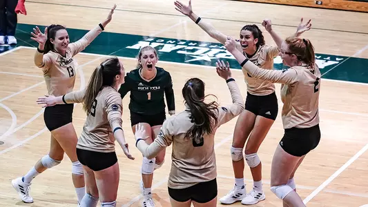 VBvTUL gold celey 2021