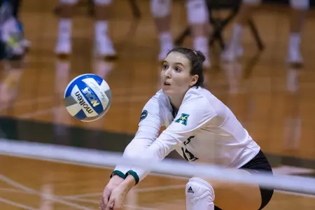 Marta Cvitkovic VBvFGCU