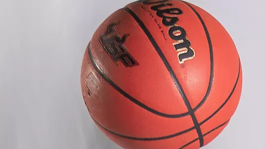 Basketball Image