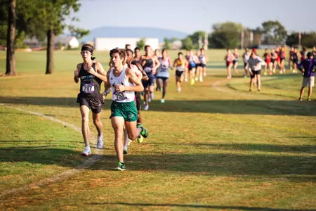 xc preview 10.6