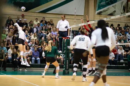 South Florida Bulls during a volleyball match against the University of Cincinnati Bearcats on November 11, 2022. (Aschley Joseph/South Florida Athletics)