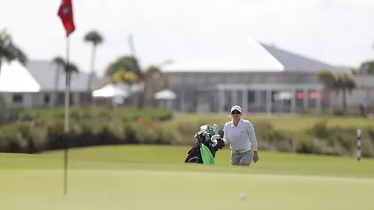 MGreen FAU Paradise 2022