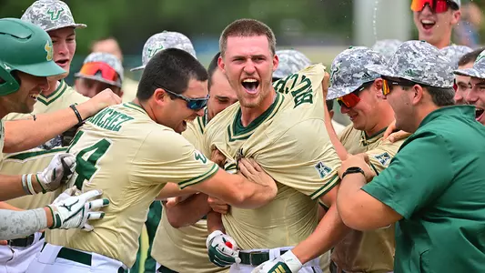 Drew Brutcher walkoff vs Wichita State 2022