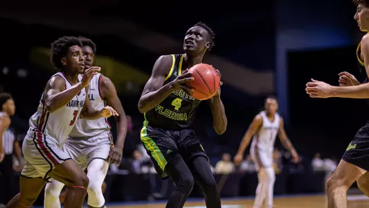 South Florida Bulls during a men's basketball game against the St. Joseph's University Hawks on November 22, 2022. (Mary Holt/South Florida Athletics)