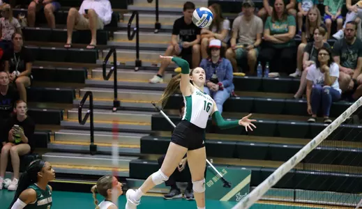South Florida Bulls during a volleyball match against University of North Carolina at Charlotte 49ers on October 13, 2023. (Stephen Galvin/South Florida Athletics)