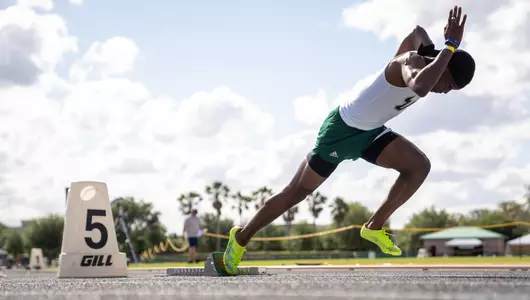 Bulls Invitational Preview