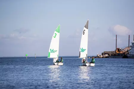 USF Women's Sailing