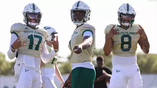 2023 Quarterbacks (Brown, Bohanon, Archie)