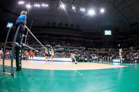 South Florida Bulls during a Road to Tampa Bay Invitational volleyball game against the University of Florida Gators on August 26, 2023. (Stephen Galvin/South Florida Athletics)