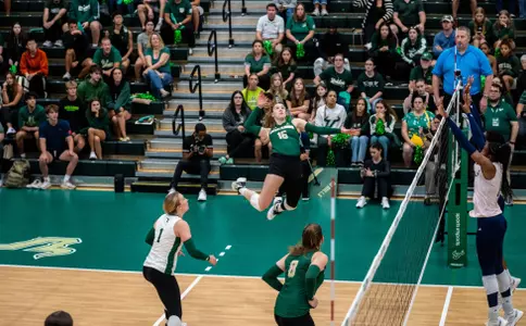 VB vs. Rice