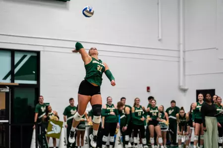 VB vs. Rice