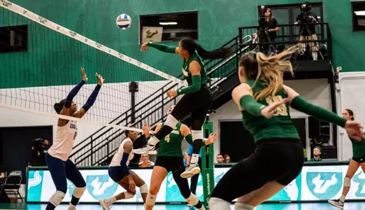 VB vs. Rice
