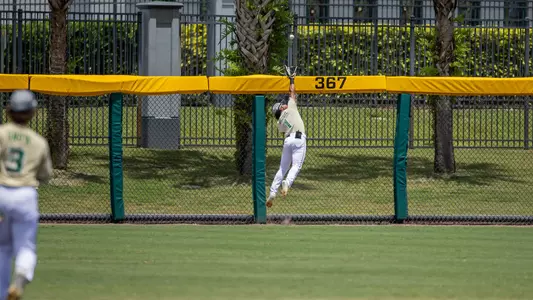 Marcus Brodil FAU diving catch 2024
