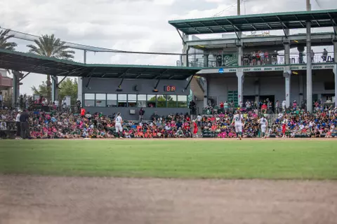 South Florida Bulls during a softball game against the Florida Atlantic University Owls on April 28, 2024. (Stephen Galvin/South Florida Softball)