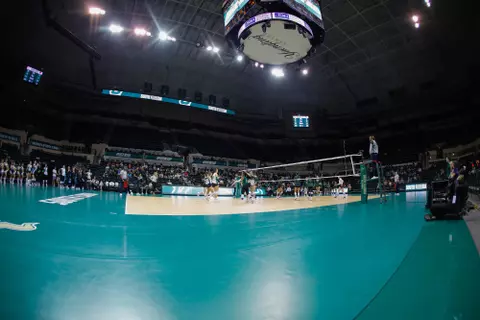 South Florida Bulls during a volleyball game against the University of Alabama at Birmingham Blazers on September 29, 2023. (Stephen Galvin/South Florida Athletics)