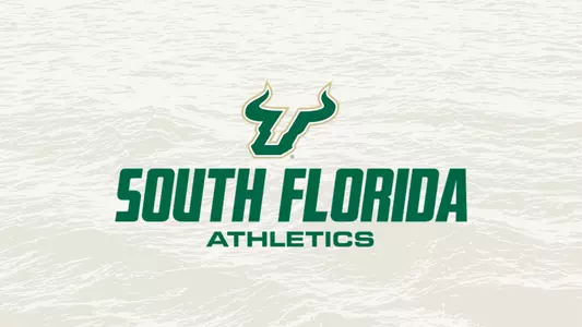 Stock graphic USF athletics