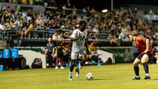 Bulls and Bears Tie On Sunday Night Image