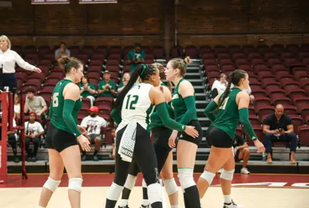 South Florida Volleyball versus the Universty of Georgia on August 31, 2024 in the Seminole Invitational.