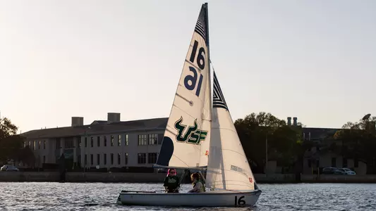 Sailing stock single boat