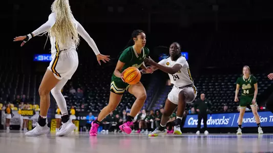during the South Florida Women's Basketball vs WSU on January 8, 2025.