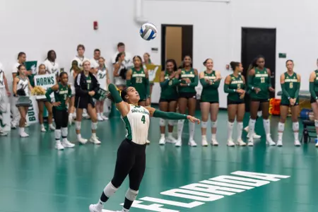 USF Volleyball