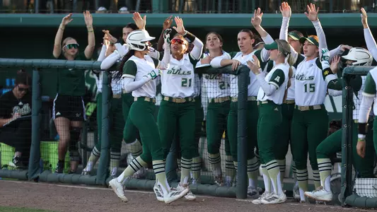 Softball dugout celebration