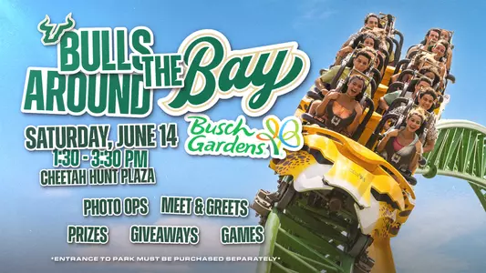 Bulls Around the Bay 2