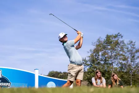 Wilhelm Ryding Swing