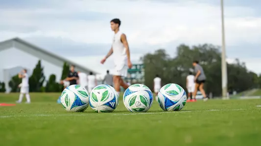 Cover Photo Mercer Preview